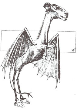 Actual eye witness compilation drawing of the Jersey Devil from 1909.