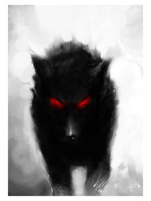 The Black Wolf With Crimson Eyes